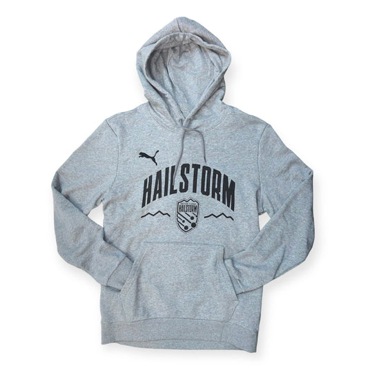 PUMA Grey Hailstorm Hoodie