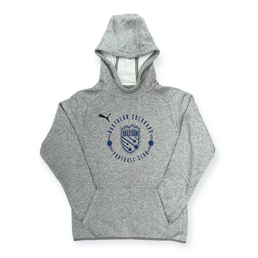 PUMA Youth Grey Hailstorm Radial Hoodie