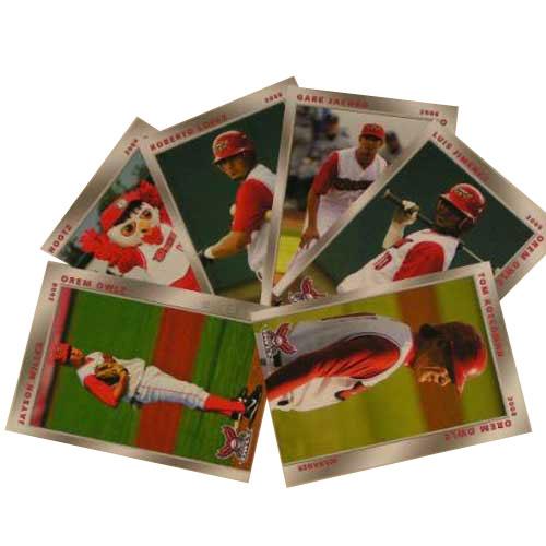 Orem Owlz 2008 Owlz Team Card Set