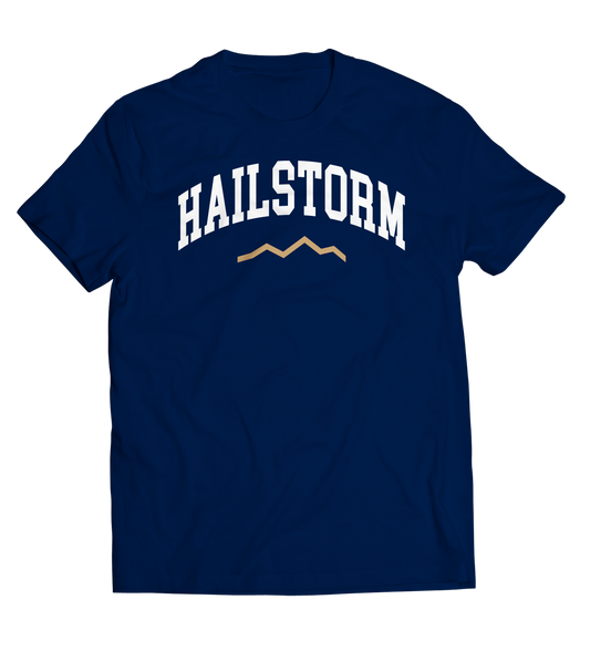PUMA Navy Hailstorm T-Shirt