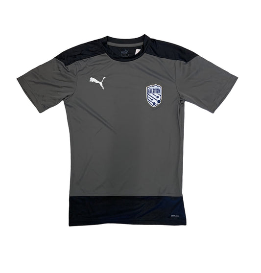 PUMA HFC Grey Training Jersey