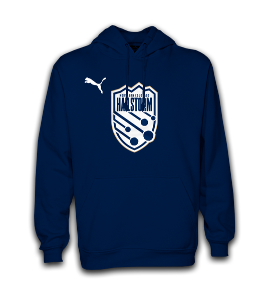 PUMA Navy Hailstorm Crest Hoodie
